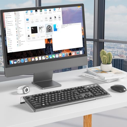 Beego Ergonomic Computer Keyboard Stand - Clear Acrylic Keyboard Riser Tilted Keyboard Holder Keyboard Tray with Black Non-Slip Strip for Easy Typing at Home School Office Desk Accessories