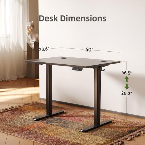 INNOVAR Electric Height Adjustable Standing Desk, 40x24 Inch, Black
