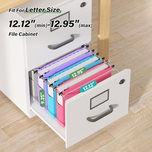 Ansook Extra Capacity Plastic Hanging File Folders Letter Size,Heavy Duty 2" Expanding Accordian Pocket with Black Insert Gasket, Filing Cabinet Folders,6 Pack Colored File Hanging Folders Organizer