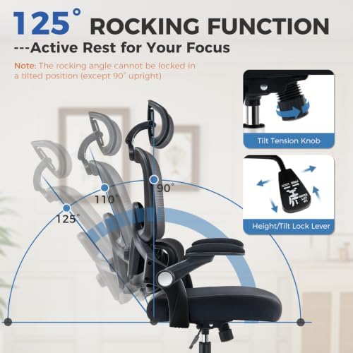 Office Chair with Adjustable Lumbar Support, Ergonomic Desk Chairs, Black