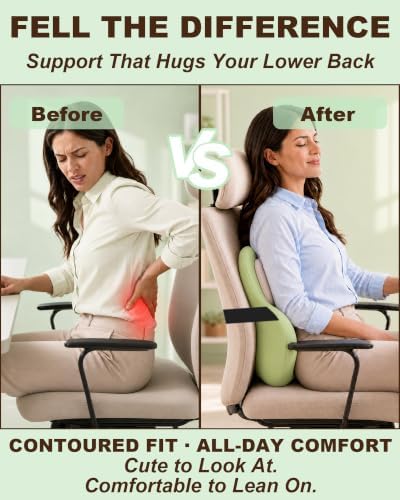 Cute Frog Lumbar Support Pillow for Office Chair, Memory Foam Back Cushion