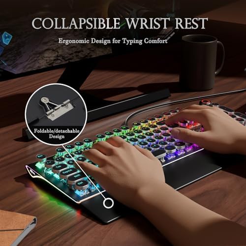RK ROYAL KLUDGE X108 Typewriter Keyboard with Knob, Wired Mechanical Gaming Keyboard, 108 Keys RGB Backlit Sidelight, Detachable Wrist Rest, Retro Round Keycaps Blue Switches - Shadow Black