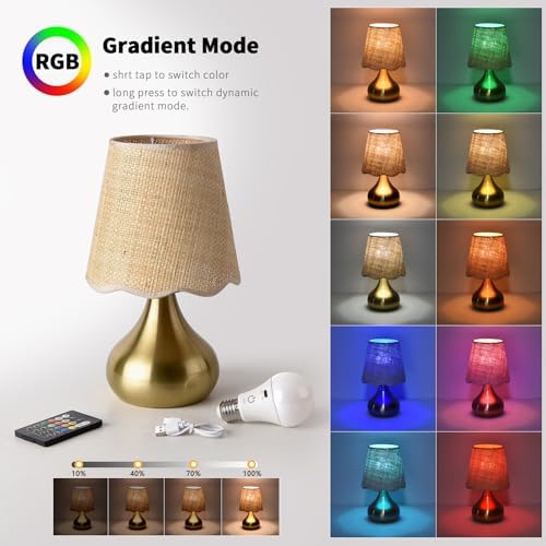 Ziqqeelam Cordless Table Lamp Rechargeable, Good Mini Table Lamp for Nightstand, Battery Operated Small Table Lamp for Small Spaces for Kitchen Counter, Bookshelf, Bedside, Bedroom, Living Room