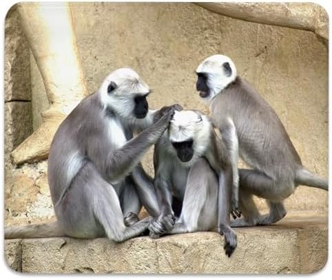 Gray Langur Monkeys Grooming Wildlife Primate Mouse Pad, Nature Desk Mat