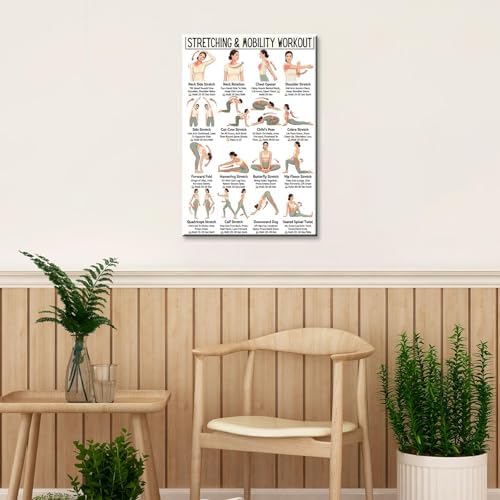Stretching & Mobility Workout Poster, 16 Illustrated Full-Body Flexibility Training Chart with Hold Time Guides, Bodyweight Neck Hip Shoulder Stretch Reference for Post-Workout Recovery & Daily Mobility Improvement(8x12inchs，Unframed)