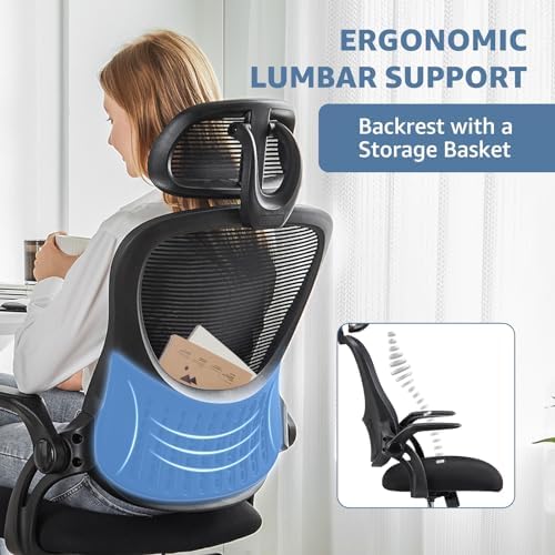 DUMOS Ergonomic Office Chair, Desk Computer Chair, Lumbar Support