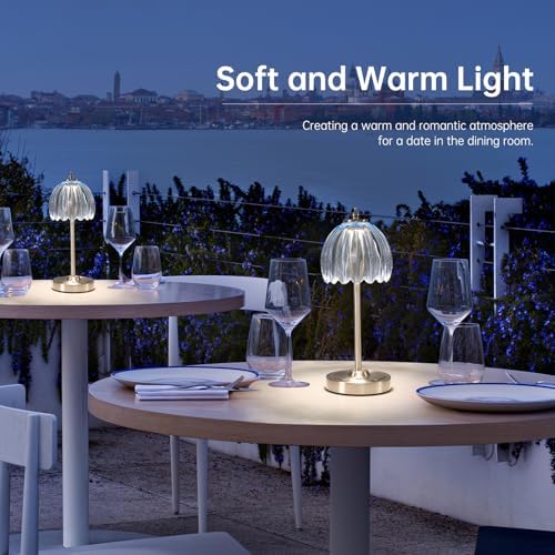 Shenmoyl Rechargeable Table Lamp with 5200mAh Battery & Touch Control - 3 Adjustable Color Temperatures, Cordless Dimmable Table Light for Bedroom, Office Desk, Nightstand(Clear Light Blue,1 Pack)