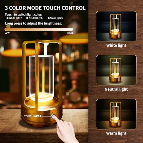 Rechargeable Table Lamp, Cordless Outdoor Lamp for Camping(Gold)
