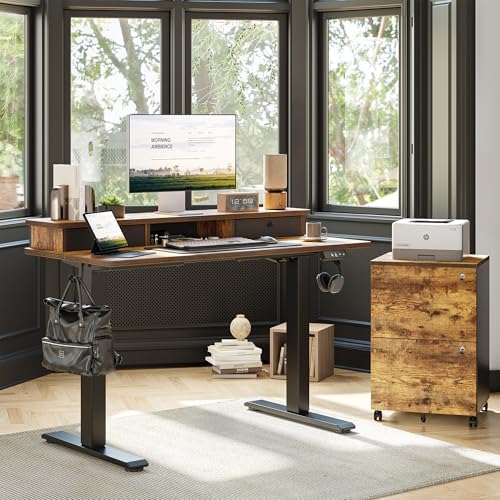 TIQLAB Standing Desk with Two Drawers, Stand Up Standing Desk Adjustable Height, Electric Sit Stand Table with Storage Shelf and Splice Board, 48 * 24 inch, Rustic Brown
