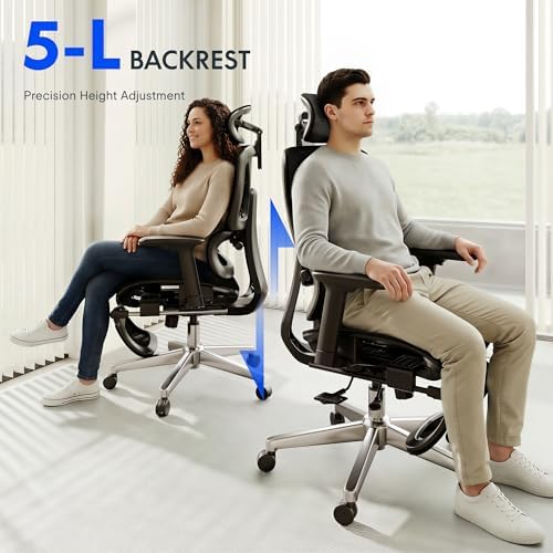 FLEXISPOT ErgoX Premium Ergonomic Office Chair Black FM-FT