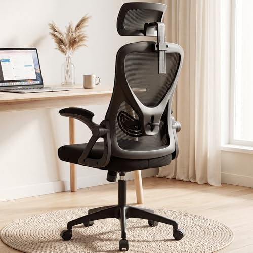 Ergonomic Mesh Office Chair with Headrest, Lumbar Support, 400 lbs