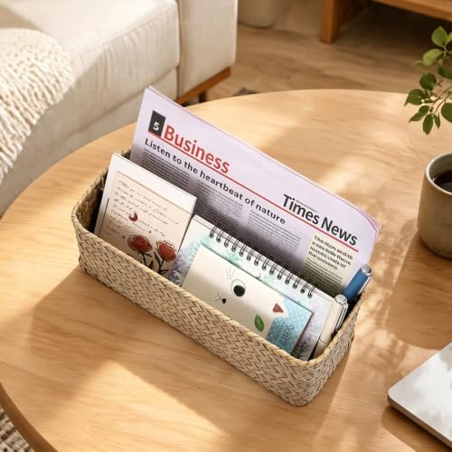 BTSKY 2 Slots Mail Organizer Countertop, Seagrass Mail Holder for Home