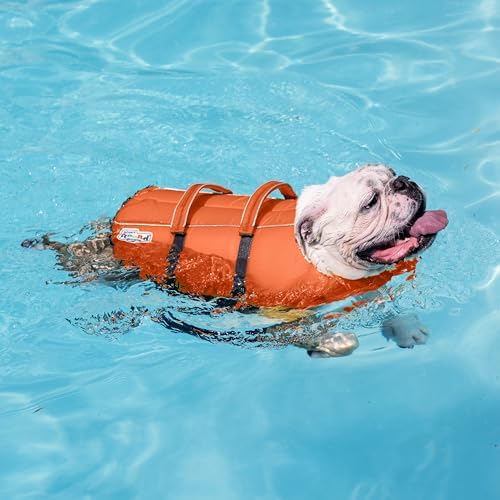 Outward Hound Granby Splash Dog Life Jacket, Life Vest, Orange, Large
