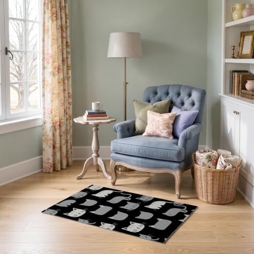 2'x3' Midnight Black Cat with Silver Accents Ultra-Soft Accent Mat