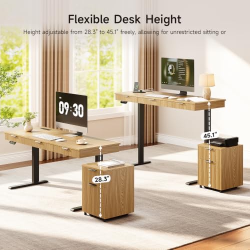 ONBRILL 63" Electric Standing Desk with File Cabinet, Height Adjustable,Oak