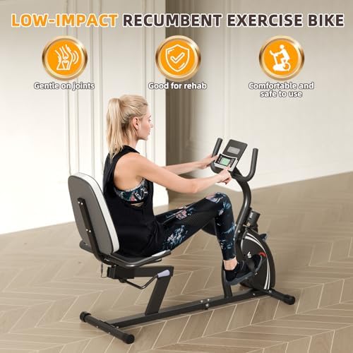 VANSWE Recumbent Exercise Bike for Home Seniors with 380 LB Weight Capacity