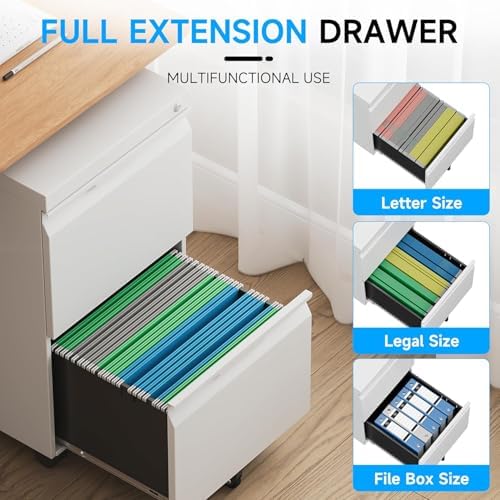 2 Drawer Mobile File Cabinet with Lock, Rolling File Cabinet with Wheels