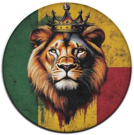Large Round Area Rug Home Decor Modern Bathroom Rug Kitchen Office Circle Rug for Living Room Sofa Circle Cute Mat Rasta Flag Lion Splatter Painting, 24inch