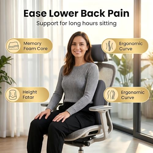 Lumbar Support Pillow Memory Foam Back Cushion for Sciatica & Lower Back Pain Relief Orthopedic Posture Corrector for Office Chair Gaming Chair Car Seat Breathable Washable Dark Gray
