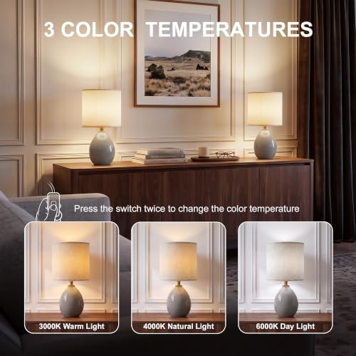 Dawnwake 17.7" Ceramic Table Lamps Set of 2 for Living Room Bedroom, Grey