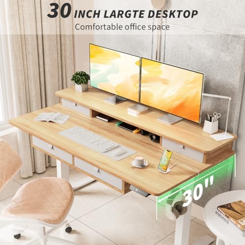 Kingant Electric Standing Desk with 4 Drawers, Height Adjustable 63"x 30"