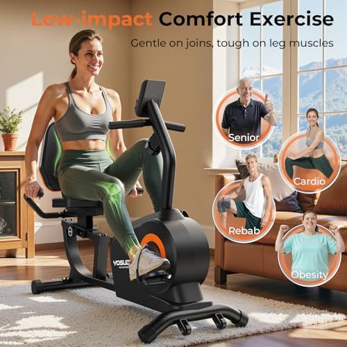 YOSUDA Recumbent Exercise Bike for Home，Magnetic Staionary Bike for Seniors