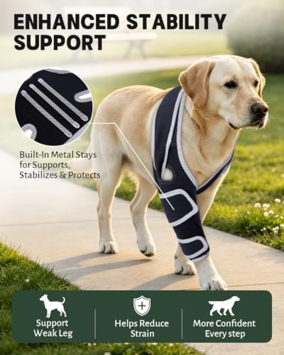 Dog Front Leg Brace for Left & Right Leg, (Size S).