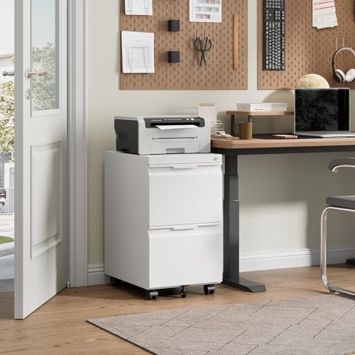 2 Drawer Mobile File Cabinet with Lock, Rolling File Cabinet with Wheels