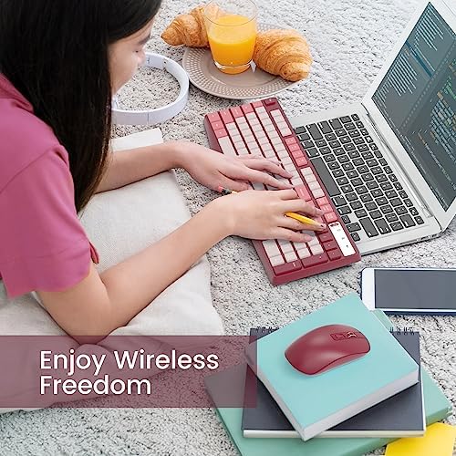 Wireless Keyboard and Mouse Combo, Lovaky 2.4G Full-Sized Ergonomic Keyboard Mouse, 3 DPI Adjustable Cordless USB Keyboard and Mouse, Quiet Click for Computer/Laptop/Windows/Mac (1 Pack, Rose)