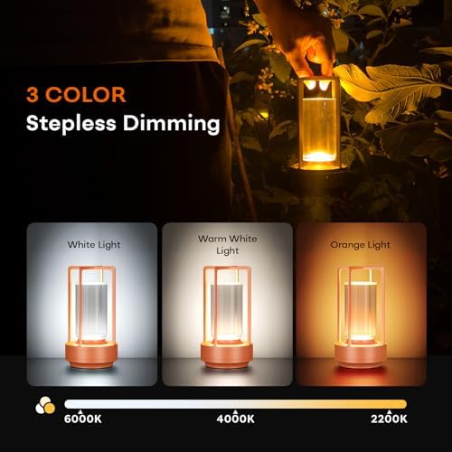Rechargeable Cordless Small Metal Table Lamp, Stepless Dimming, 3-Color