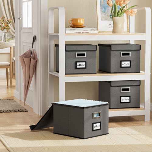 File Organizer Box with Lids, Collapsible File Folder Organizer