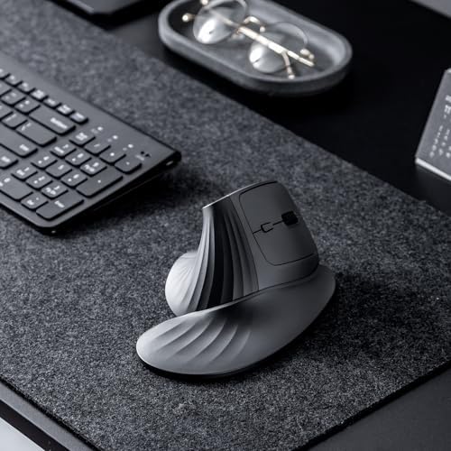 SANWA Wireless Ergonomic Mouse for Large Hands with Wrist Rest, Black