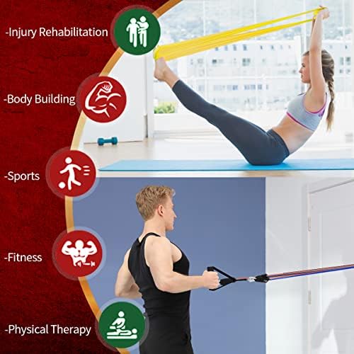 VEICK Resistance Bands with Handles, Exercise Tube Bands Set for Workouts