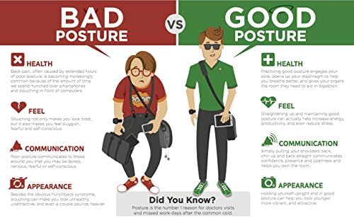 FOMI Firm Gel Foam Back Support (14" x 15") Care | Upper Lower Thoracic and Lumbar Support for Car, Home, Office Chair | Promotes Healthy Posture, Sciatica Pain Relief