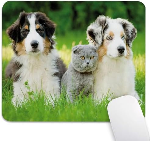 Cute Australian Shepherd Dog Puppies Mouse Pad, Scottish Fold Cat Desk Mat