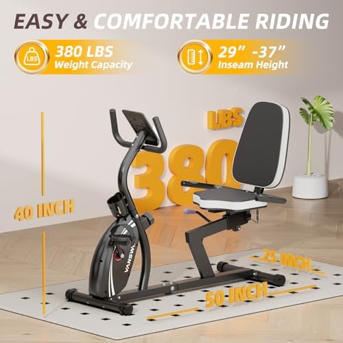 VANSWE Recumbent Exercise Bike for Home Seniors with 380 LB Weight Capacity
