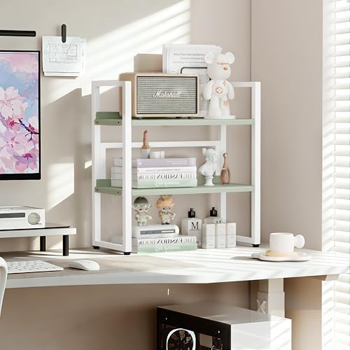 Brakki Desk Shelf Organizer, 2-Tier Desktop Bookshelf, Small Office Shelf