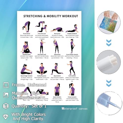 Stretching & Mobility Workout Poster, 16 Illustrated Full-Body Flexibility Chart with Timed Hold Guides, Bodyweight Daily Stretch Reference for Desk Soreness & Post-Workout Joint Recovery(8x12inchs，Unframed)