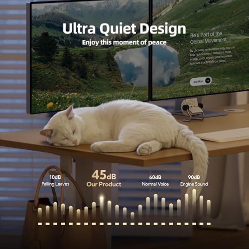 INNOVAR Electric Height Adjustable Standing Desk, 40x24 Inch, Nature