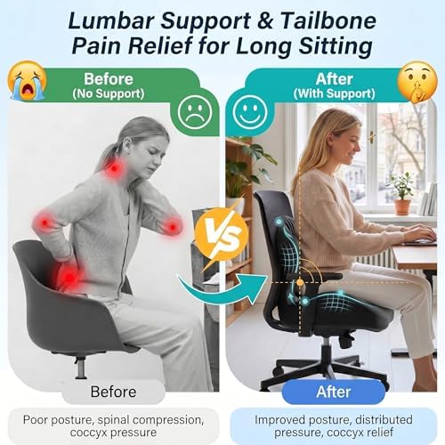 Ergonomic Seat Cushion with Lumbar Support（Black）