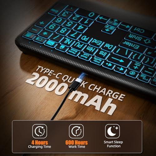 Hamile Large Print Wireless Backlit Keyboard for Windows, Black