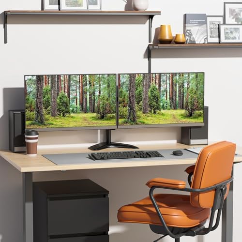 WALI Freestanding Dual Monitor Stand for 13-27 inch Screens, 22 lbs per Arm