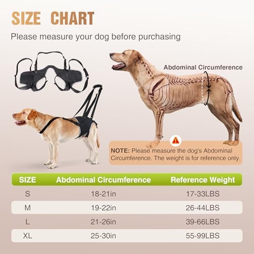 Dog Lift Harness for Medium Dogs, Hind Leg Assistance