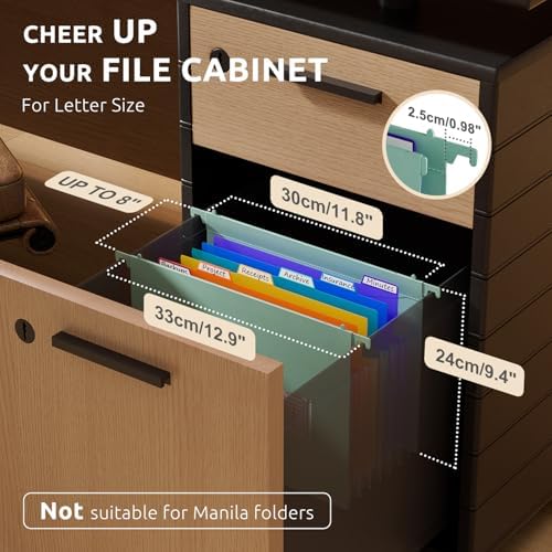ThinkTex Plastic Expanding Hanging File Folders, 7 * 1.2" Accordion Pockets