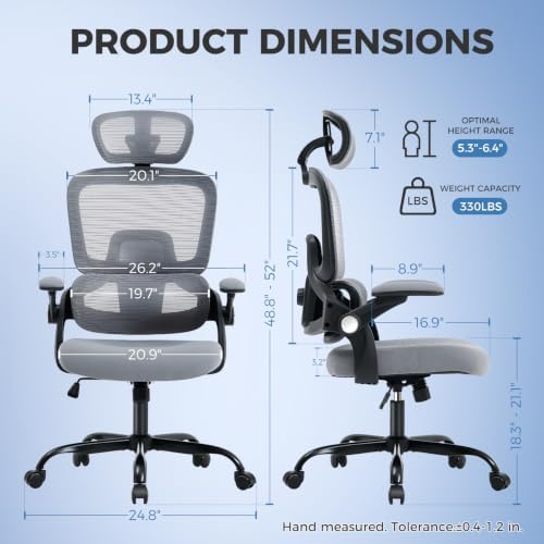 Office Chair with Adjustable Lumbar Support, Ergonomic Desk Chairs, Gray