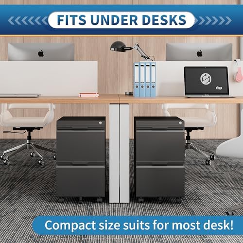 2 Drawer File Cabinet with Lock,Rolling Vertical File Cabinets for Home Office,Small Metal Filing Cabinet Office Drawers Under Desk for A4-Size/Letter-Size/Legal-Size- Assembly Required/Black