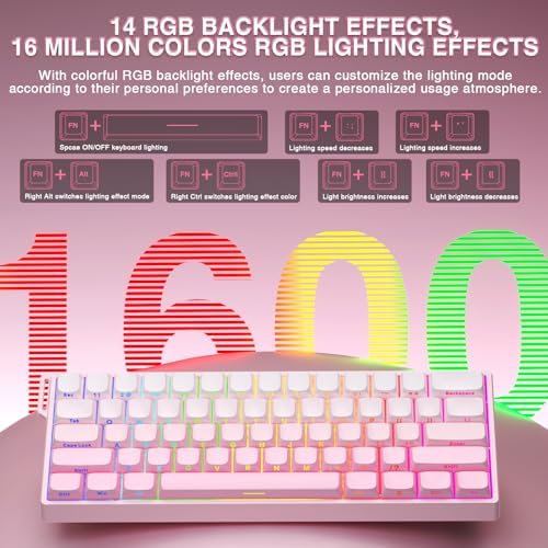 Aula WIN60 HE - 60% Mechanical Gaming Keyboard Wired, Hall Effect Magnetic Switch Hot Swappable,8000 Hz Polling Rate, RGB Keyboard 60 Percent Compact Design for PC (Gradient Pink)