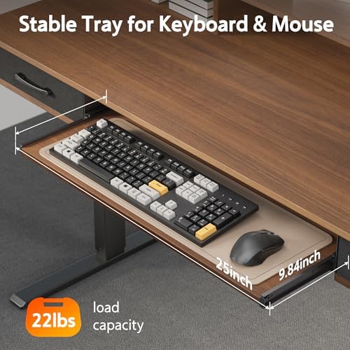 WALKINGDESK 55 Inches Electric Standing Desk with Keyboard Tray, Height Adjustable Sit to Stand Table with 2 Drawers, Ergonomic Home Office Desk with Storage Shelf, Computer Table, Black Walnut