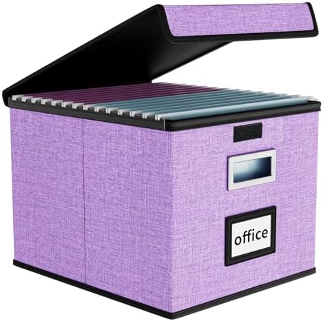 File Organizer Box with Lids, Collapsible File Folder Organizer