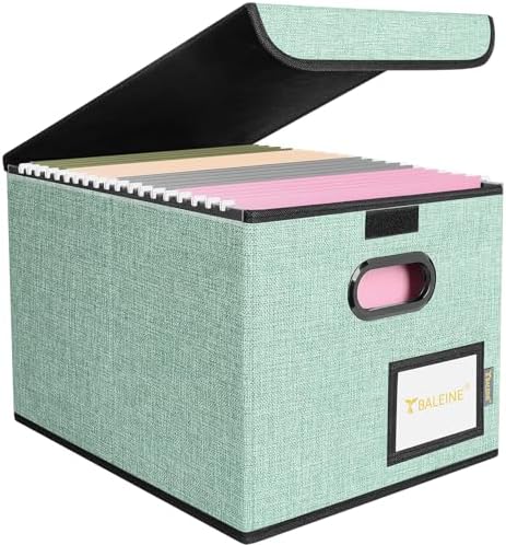 BALEINE File Organizer Box with Lid, Collapsible Hanging File Storage Box